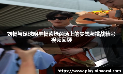 刘畅与足球明星畅谈绿茵场上的梦想与挑战精彩视频回顾